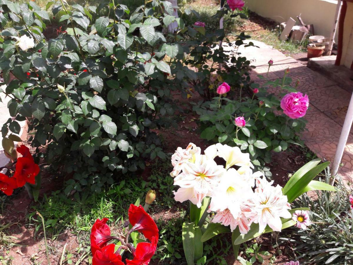 τhe Roses House Apartment