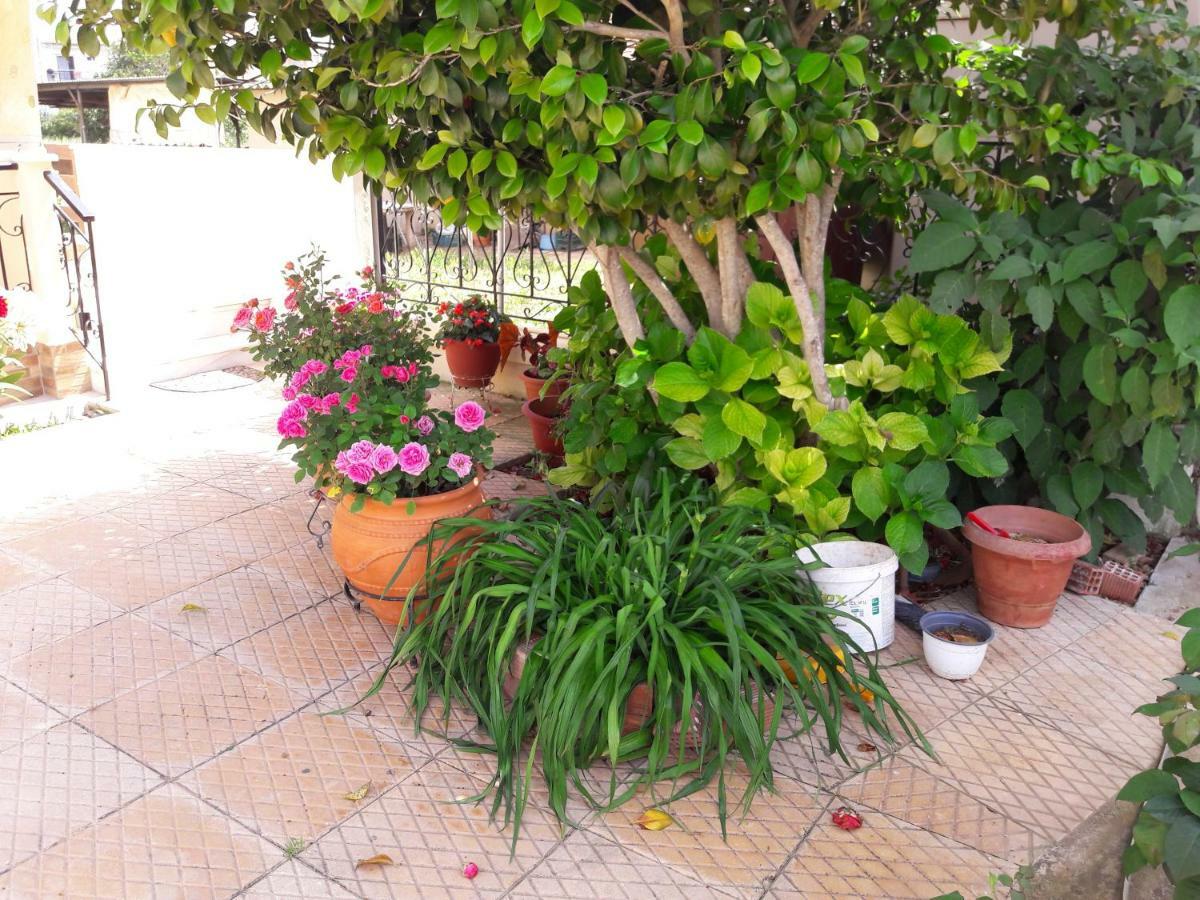 Apartment τhe Roses House Pandokrátor