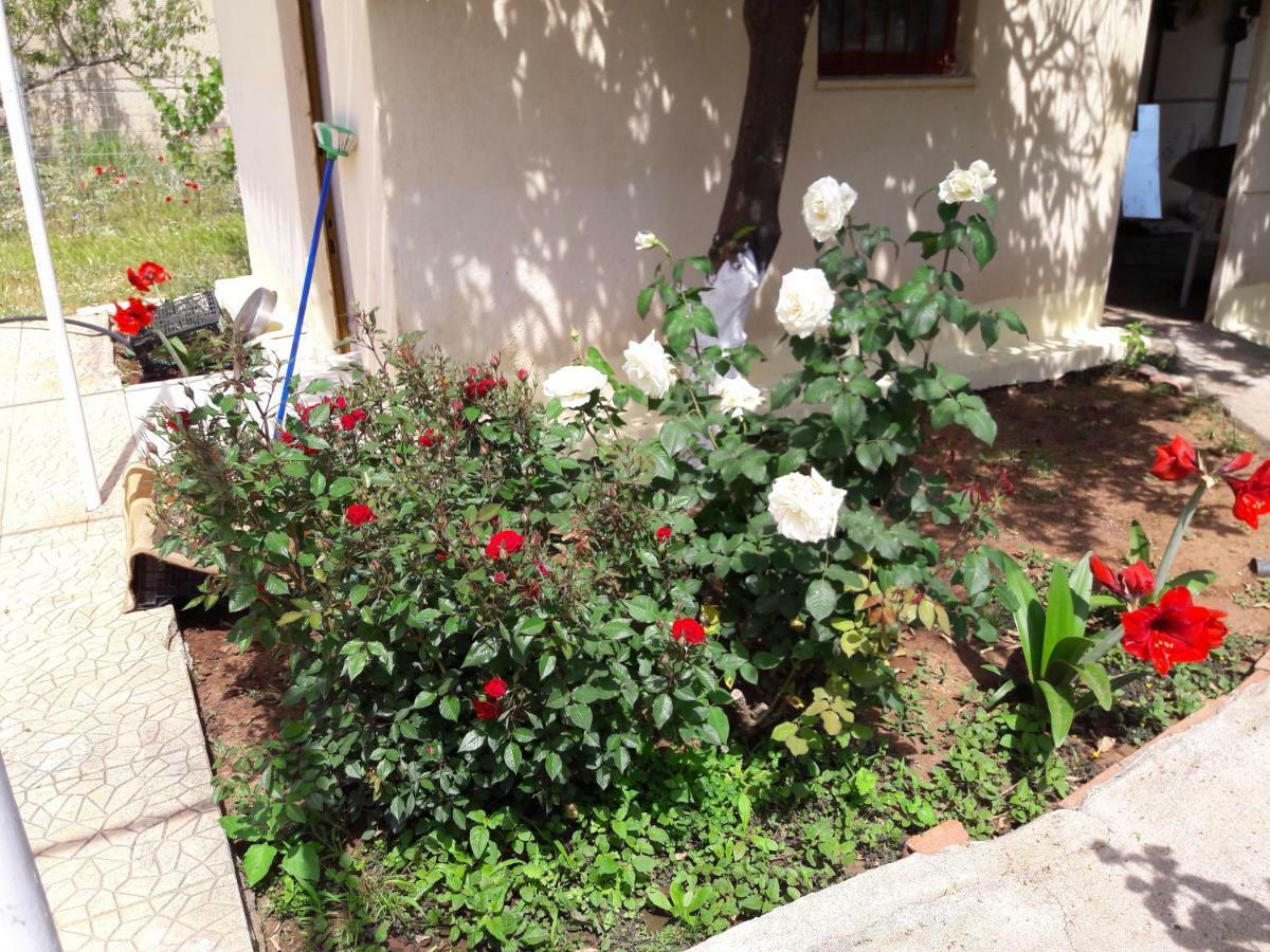 Apartment τhe Roses House *