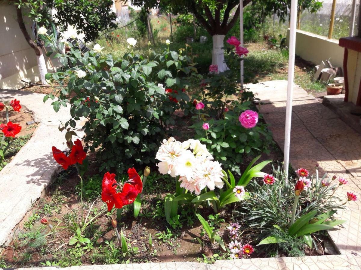 Apartment τhe Roses House *